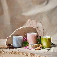 Andean Myrtle Signature Candle, 15.5 oz.