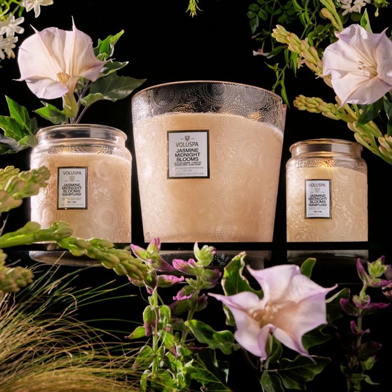 Jasmine Midnight Blooms Candle Collection