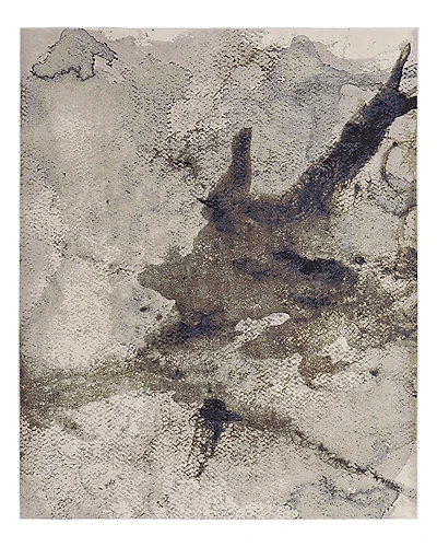 Feizy Clio CLO39LVF Area Rug