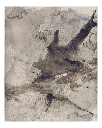 Feizy Clio CLO39LVF Area Rug