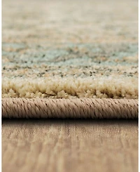 Karastan Euphoria Monaghan Area Rug, 8' x 11'