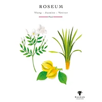 Totem Roseum Luxury Medium Bottle Diffuser, 67.6 oz.