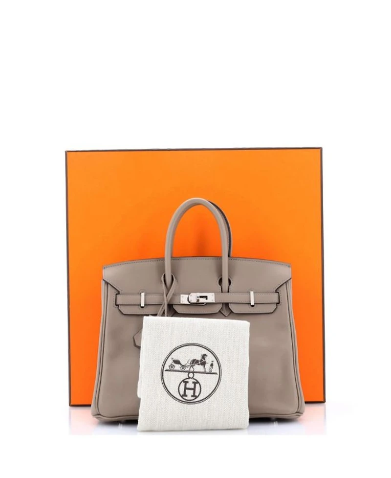 Birkin 25 Handbag Grey Swift with Palladium Hardware