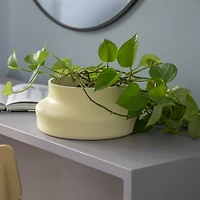Dorotea Yellow Medium Vase