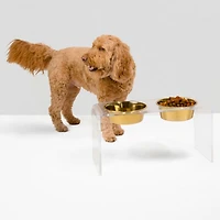 Large Clear Double Bowl Pet Feeder, 2 Quart Bowls