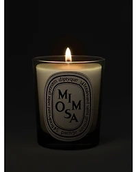 Mimosa Scented Candle