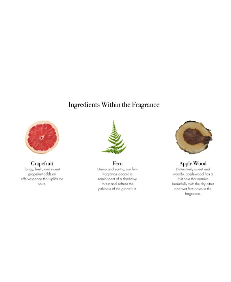 White Grapefruit Signature Reed Diffuser, 15 oz.