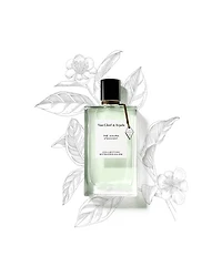 Collection Extraordinaire Thé Amara Eau de Parfum 2.5 oz.