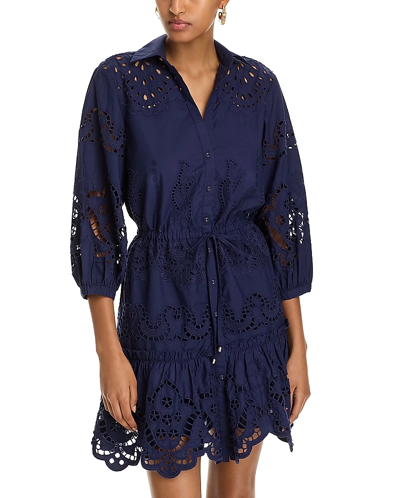 Cara Robin Eyelet Mini Dress