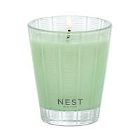 Cucumber & White Sage Classic Candle, 8.1 oz.