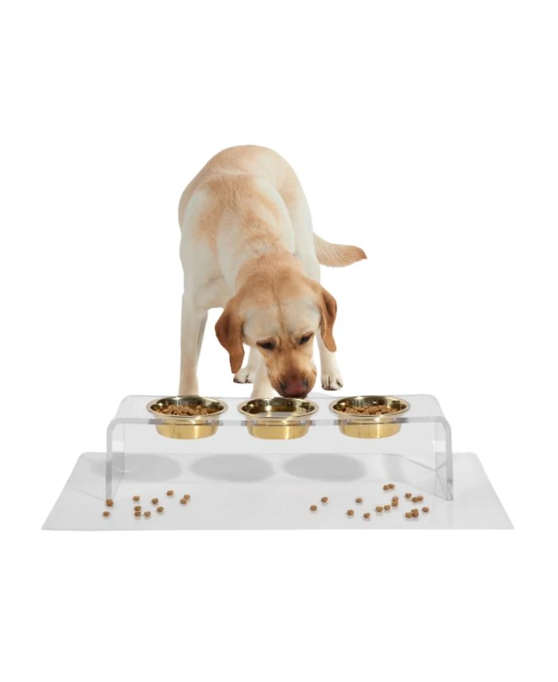 Tall Clear Triple Dog Bowl Feeder with 2 Quart Silver Bowls