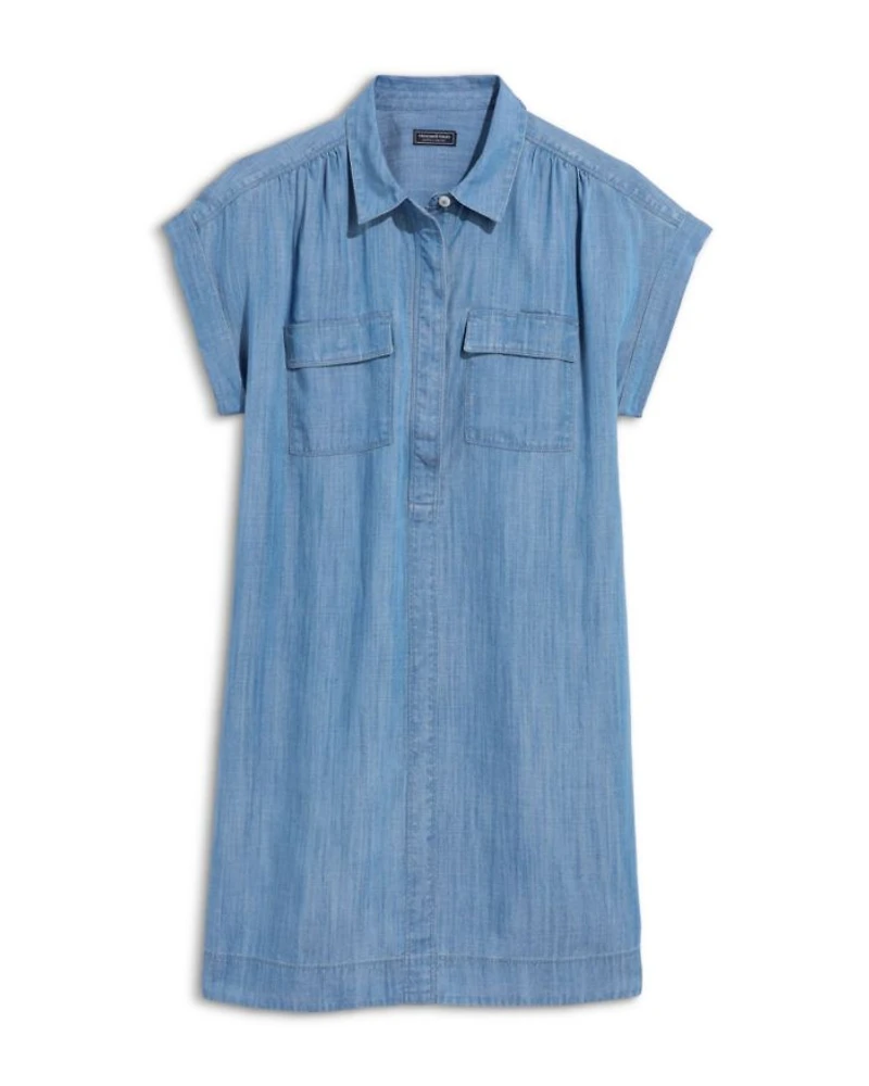Chambray Shirtdress