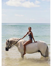 Plunging Neck Swimsuit