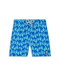 Tom & Teddy Boys' Turtle Swim Trunks - Little Kid