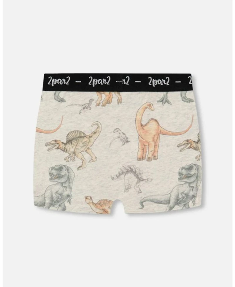 Boys' Printed Organic Cotton Boxer Shorts - Little Kid