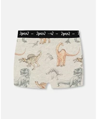 Boys' Printed Organic Cotton Boxer Shorts - Little Kid