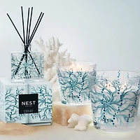 Ocean Mist & Sea Salt Collection