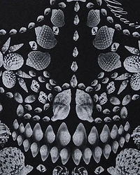 The Shkull Ettienne Hoody