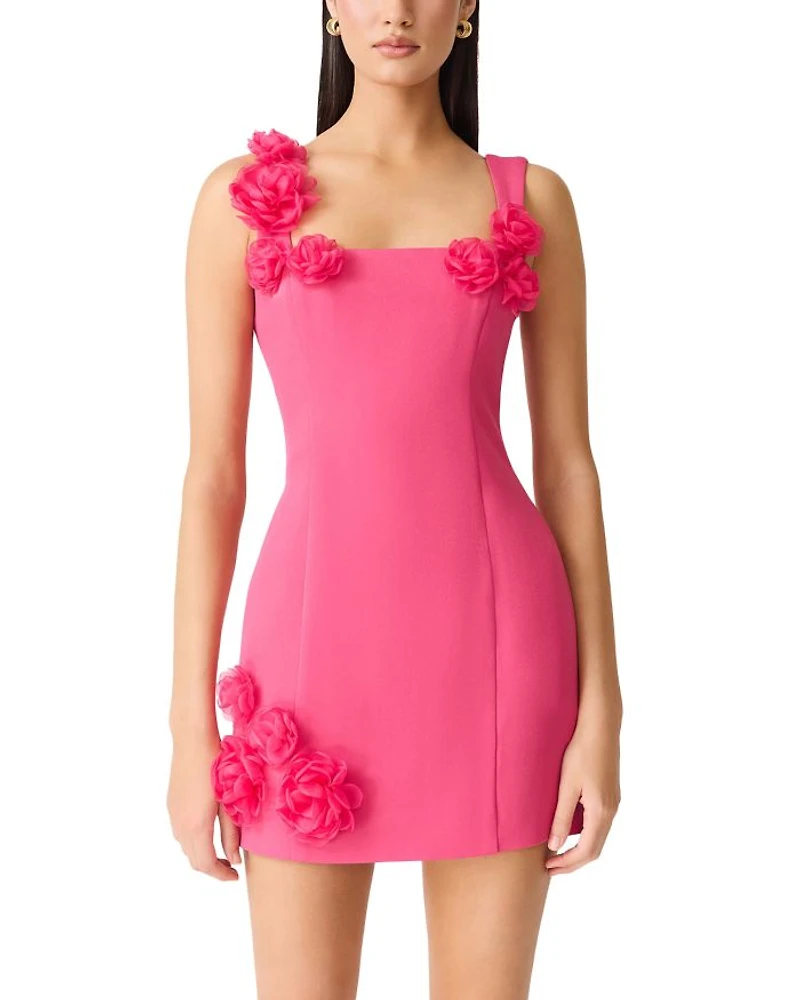 Trompe Mini Dress