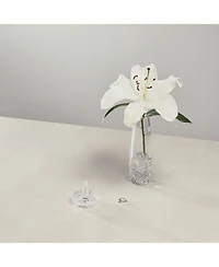 Lismore Essence Bud Vase