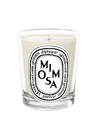 Mimosa Scented Candle
