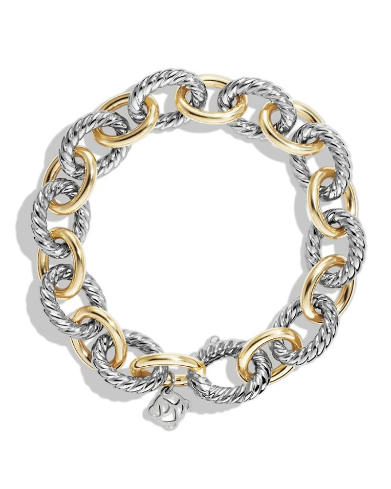 Oval Large Link Bracelet with Gold