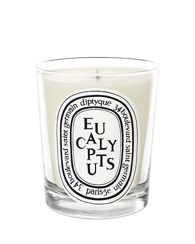 Eucalyptus Scented Candle