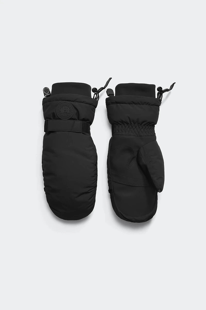 Fundamental Mitten