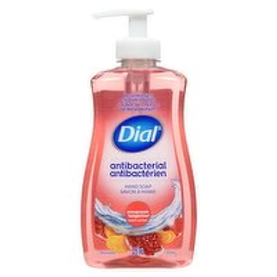 Dial - Antibacterial Hand Soap P&T, 325 Millilitre