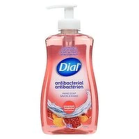 Dial - Antibacterial Hand Soap P&T, 325 Millilitre
