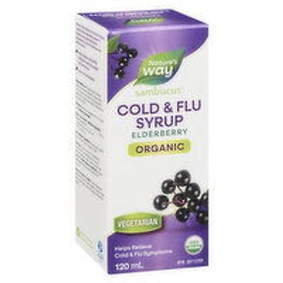 Nature's Way - Sambucus Syrup Organic, 120 Millilitre