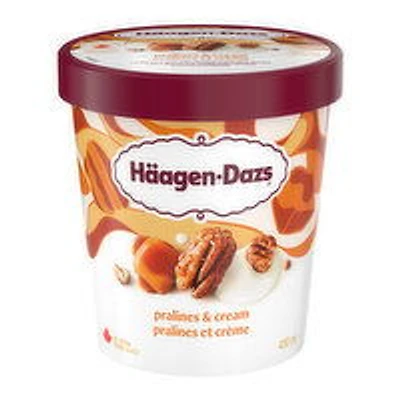 Haagen-Dazs - Pralines & Cream Ice Cream, 450 Millilitre