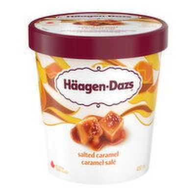 Haagen-Dazs - Salted Caramel Ice Cream, 450 Millilitre