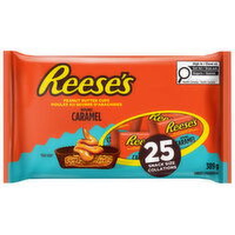 Reeses - Peanut Butter Cups with Caramel, Snack Size - 25 count, 389 Gram