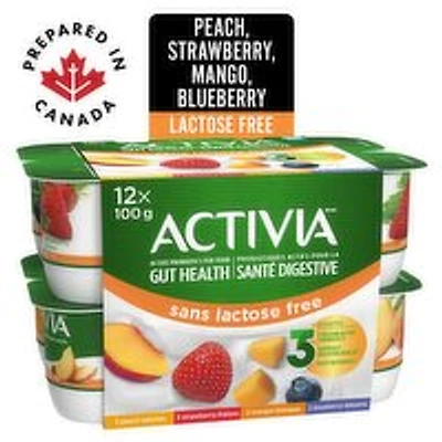 Activia - Probiotic Yogurt Lactose Free - Assorted, 12 Each