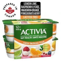 Activia - Yogurt Lactose Free 2.8% M.F - Assorted, 12 Each