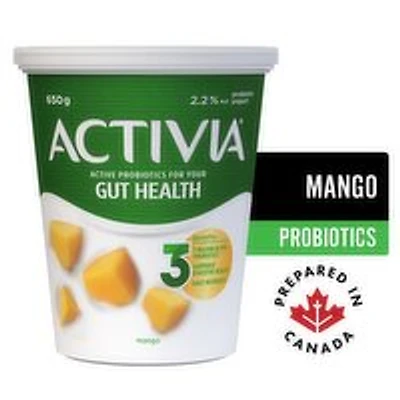 Activia - Probiotic Mango Yogurt, 650 Gram