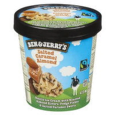 Ben & Jerry's - Salted Caramel Almond, 473 Millilitre