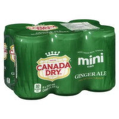 Canada Dry - Ginger Ale Soda, 6 Each