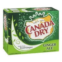 Canada Dry - Ginger Ale 355mL Cans, 20 Each