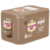 Canada Dry - Ginger Beer, 6 Each