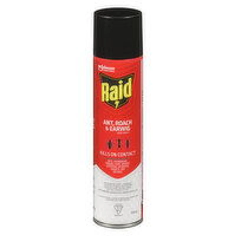 Raid - Raid Ant/Roach Killer, 350 Gram