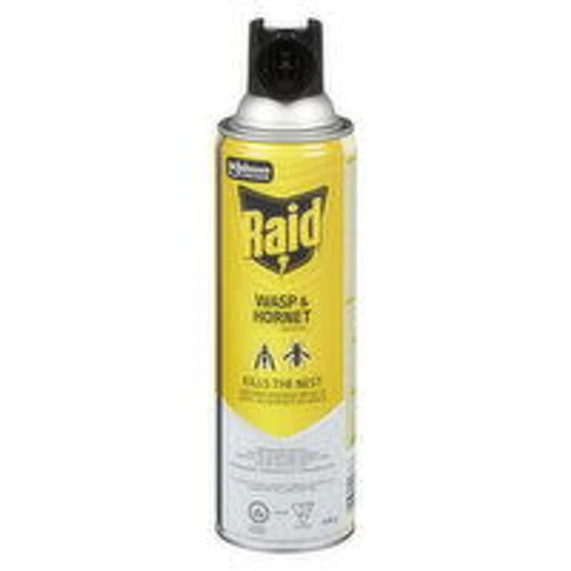 Raid - Wasp & Hornet Bug Killer, 400 Gram