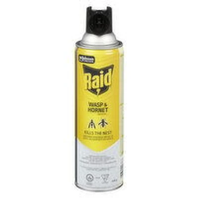Raid - Wasp & Hornet Bug Killer, 400 Gram