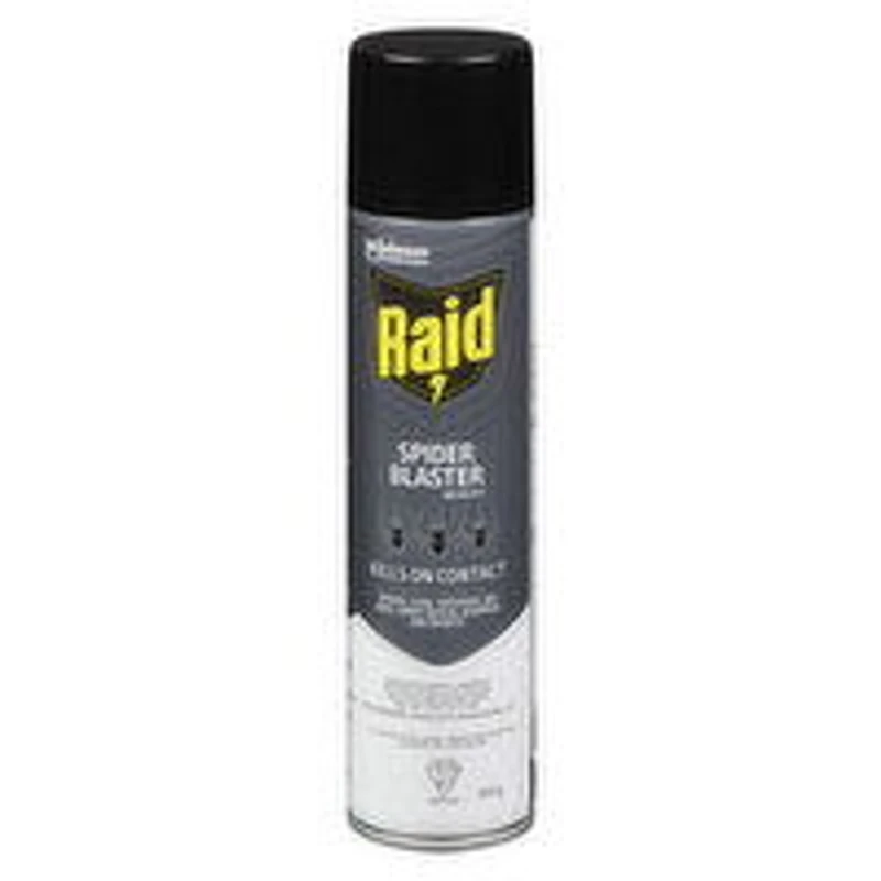 Raid - Spider Blaster Bug Killer Spray, 350 Gram