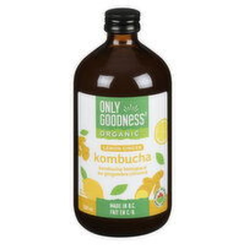 Only Goodness - Organic Kombucha - Lemon Ginger, 500 Millilitre