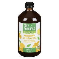 Only Goodness - Organic Kombucha - Lemon Ginger, 500 Millilitre