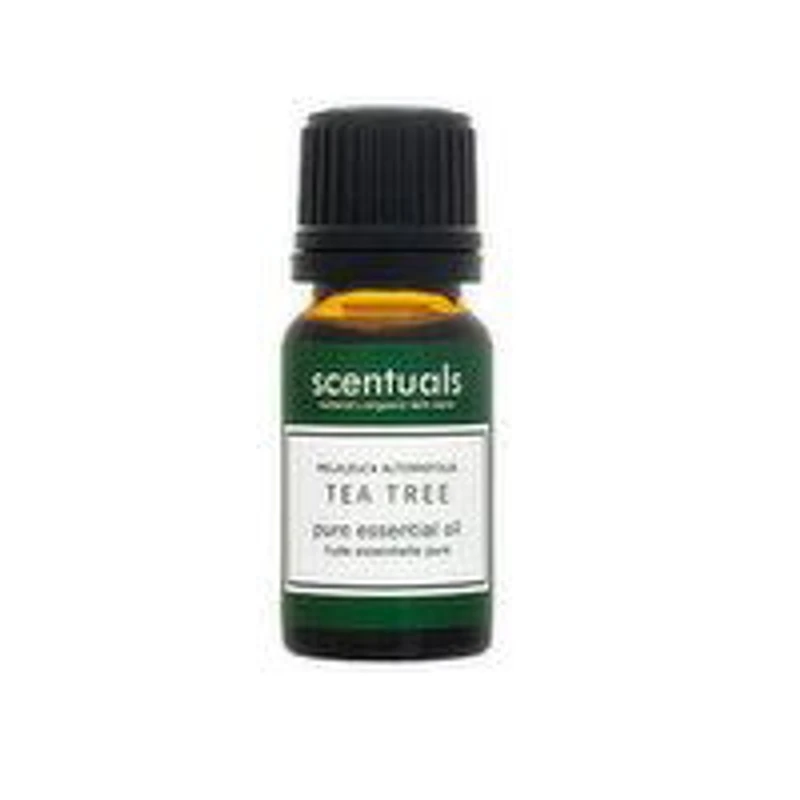Scentuals - Tea Tree Pure Essential Oil, 10 Millilitre