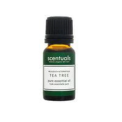 Scentuals - Tea Tree Pure Essential Oil, 10 Millilitre