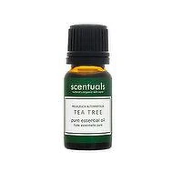 Scentuals - Tea Tree Pure Essential Oil, 10 Millilitre